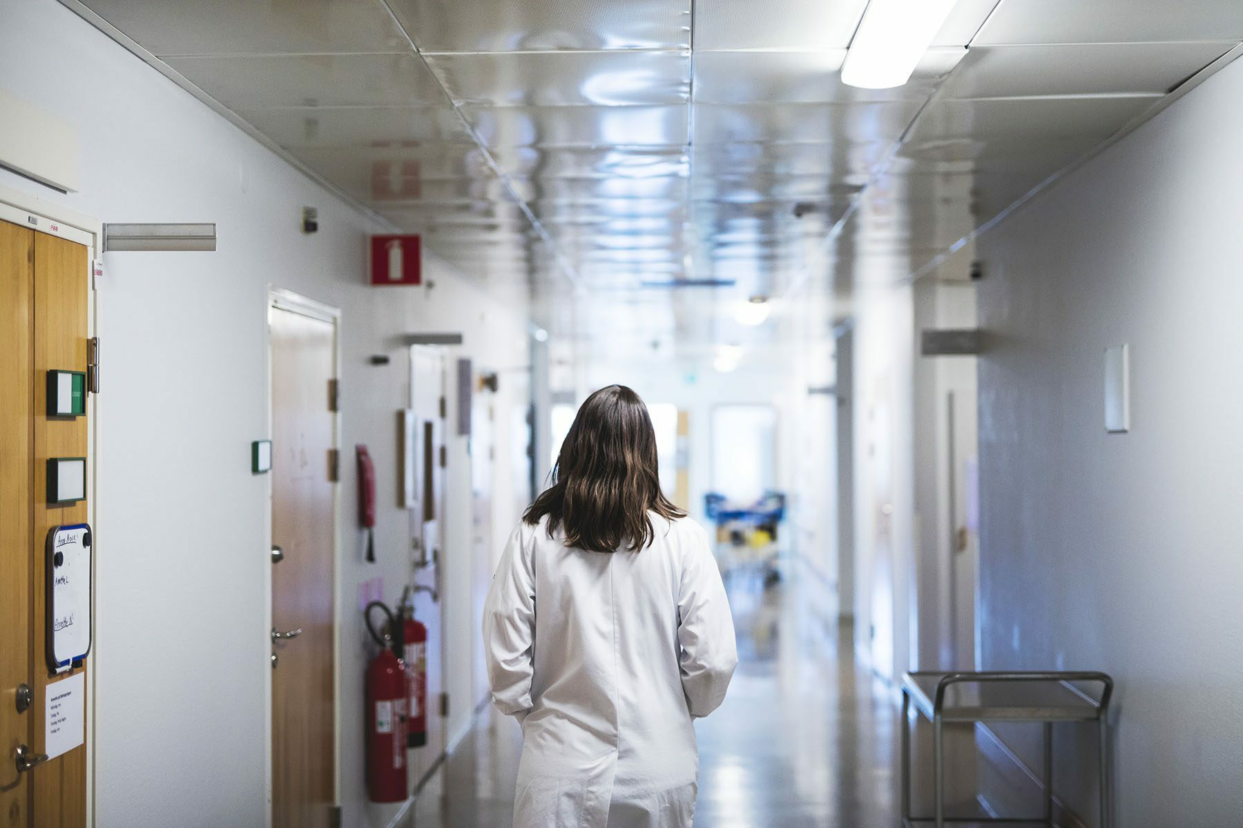 A doctor wearing a white coat is seen walking through a hospital corridor from the back.