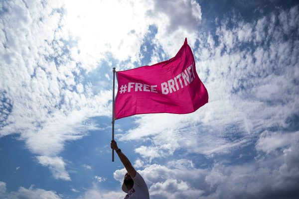 A man waves a pink flag printed with the words #FREE BRITNEY