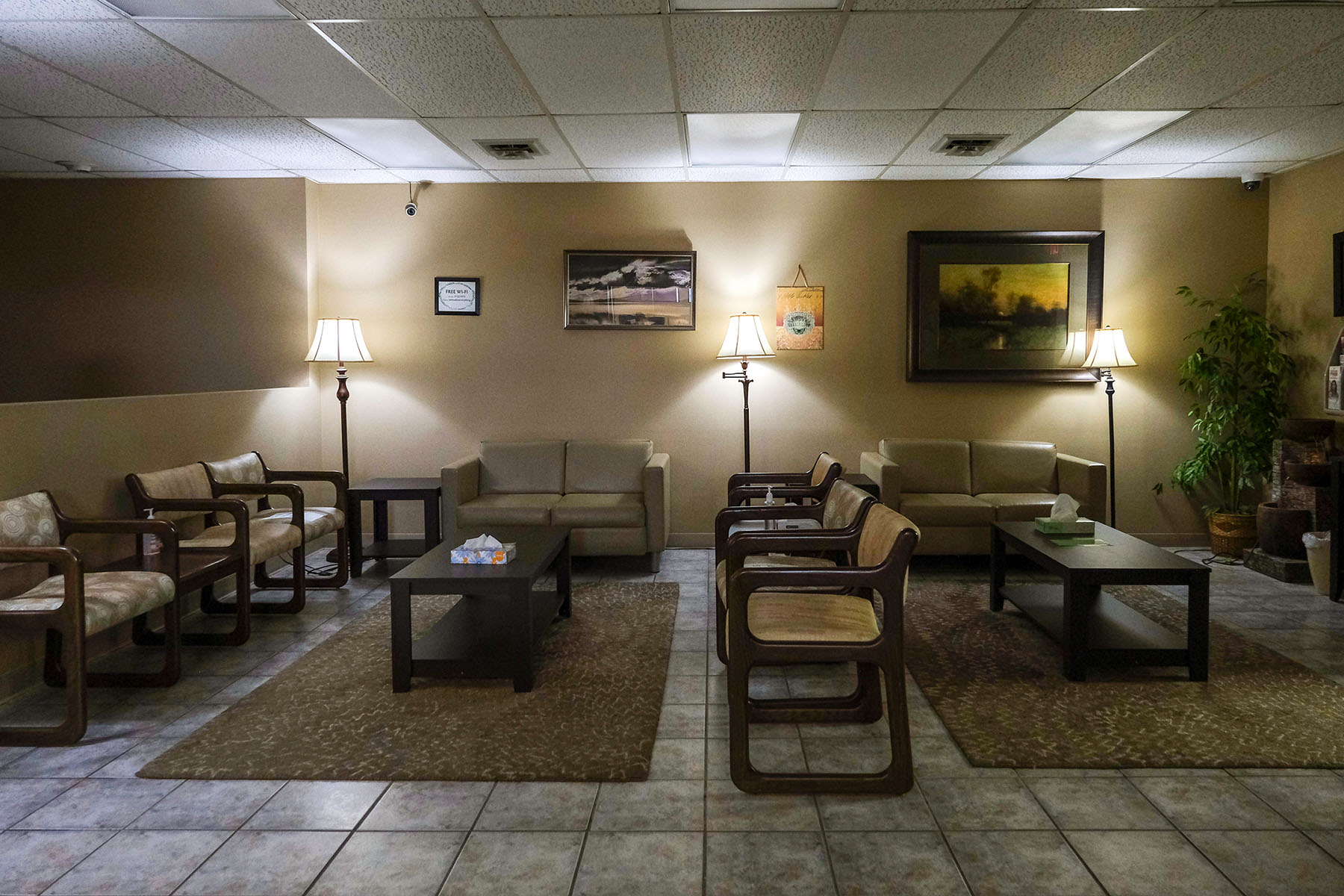 A tidy waiting room is seen at Trust Women: pictures are hung up on the wall and plants adorn the corners.