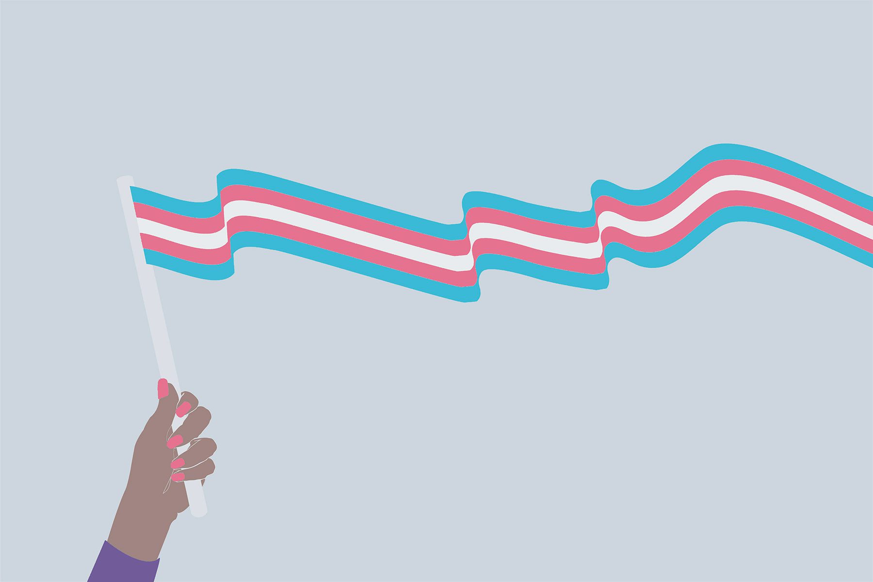 An illustration shows a hand holding a transgender pride flag