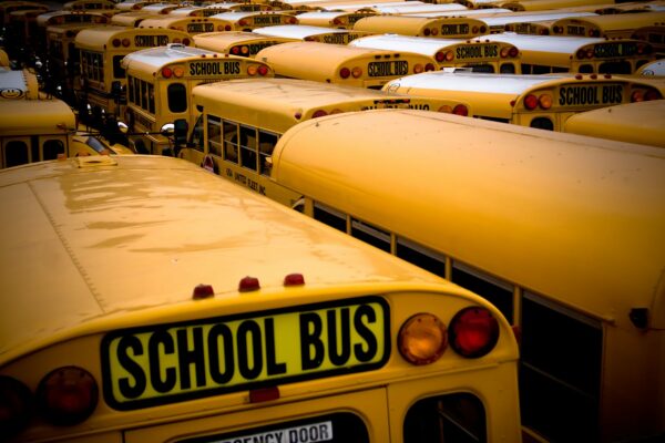 View of school buses in a parking lot.