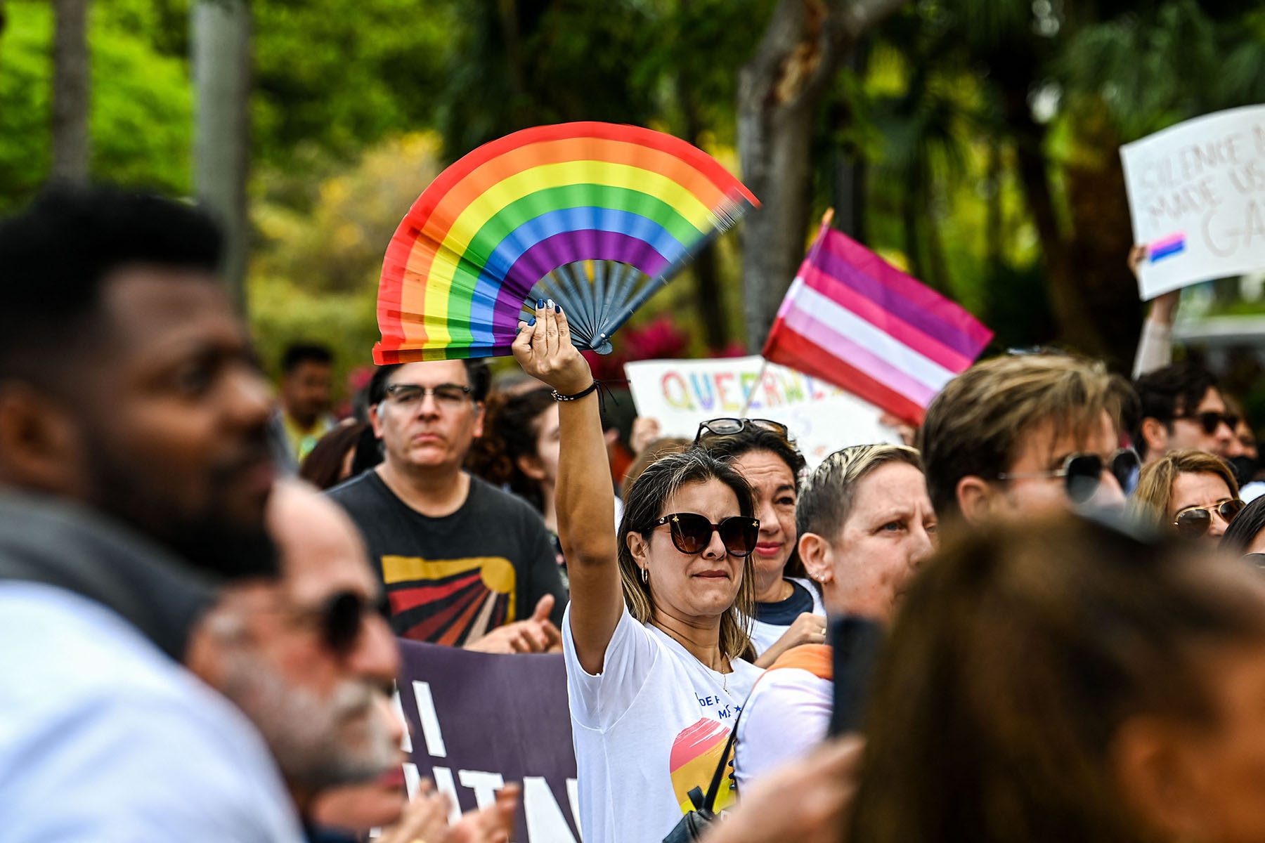 Members and supporters of the LGBTQ community, several of them holding flags and posters, attend the "Say Gay Anyway" rally.