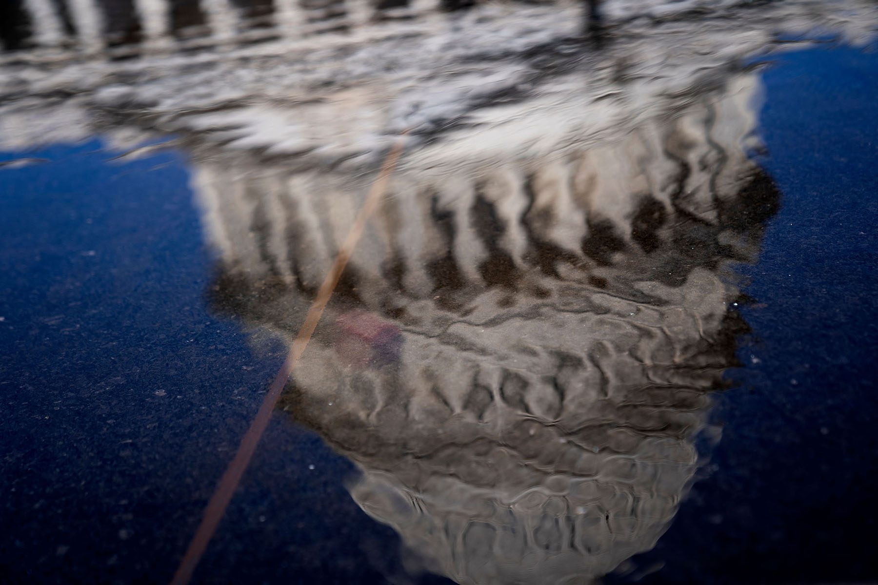 The Capitol Dome is reflected in a pool of water.