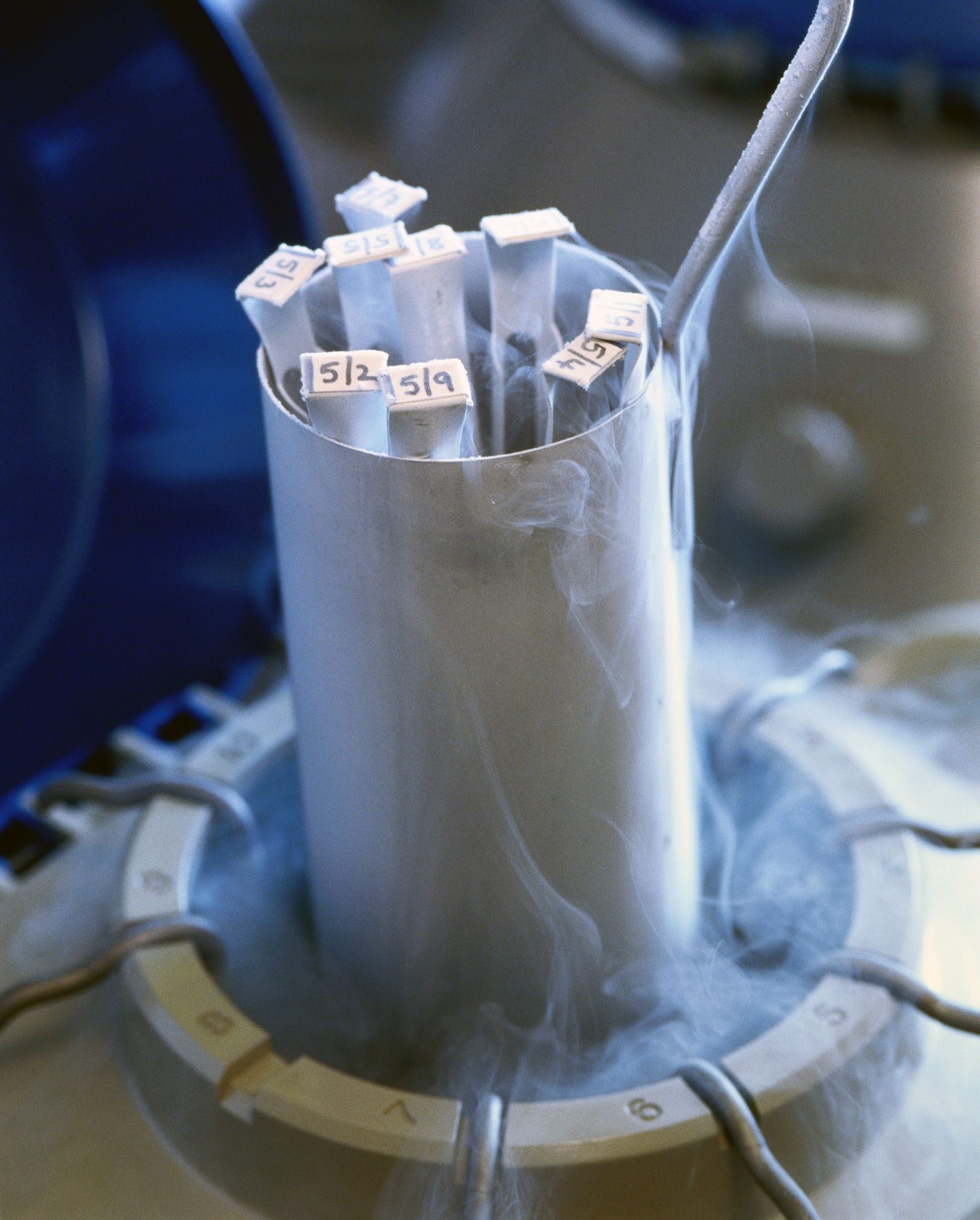 Frozen human embryos being removed from a liquid nitrogen storage.