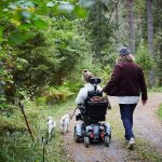 Rear view of male caretaker with a disabled woman and dog taking a walk in a forest.