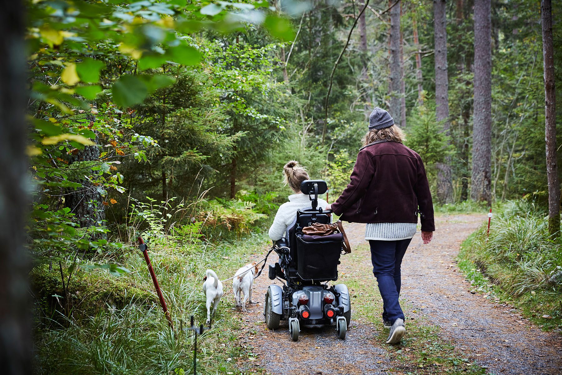 Rear view of male caretaker with a disabled woman and dog taking a walk in a forest.