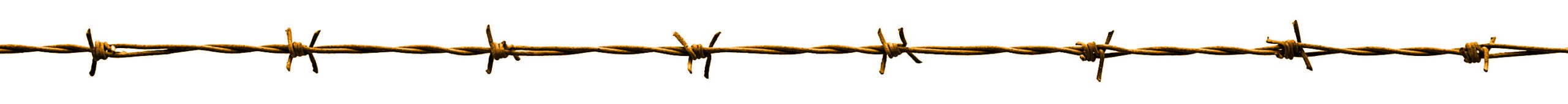 illustration of a single barbed wire