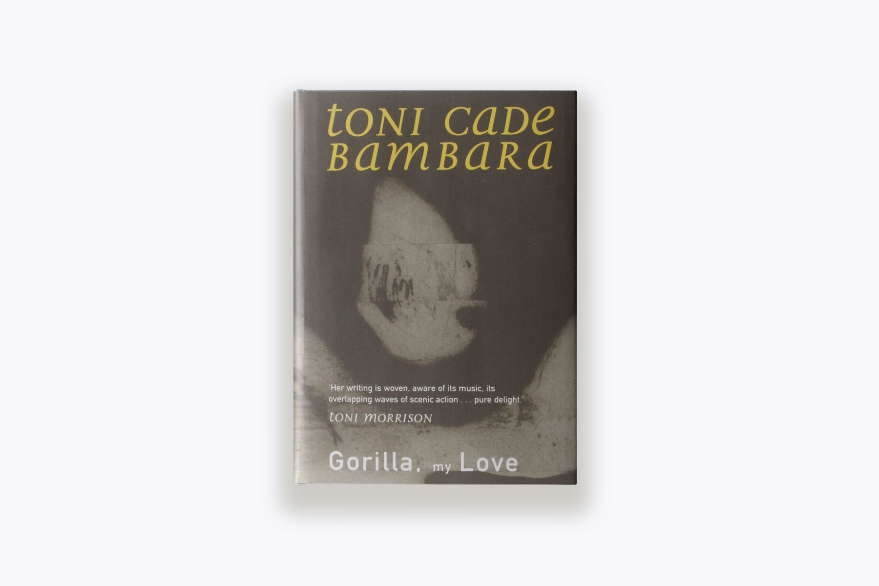 https://19thnews.org/wp-content/uploads/2023/02/bhm-book-covers-gorollamylove-topper.jpg