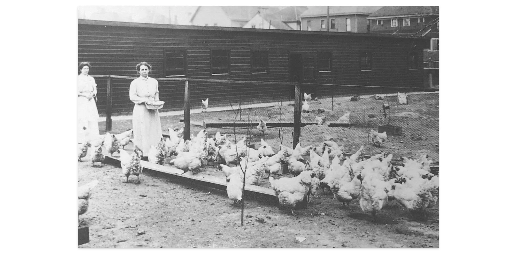 An archival photo of feeding chickens at the Indiana Reformatory Institution for Women and Girls in the 1890s.