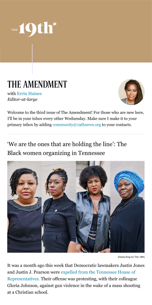 The Amendment Newsletter By Errin Haines