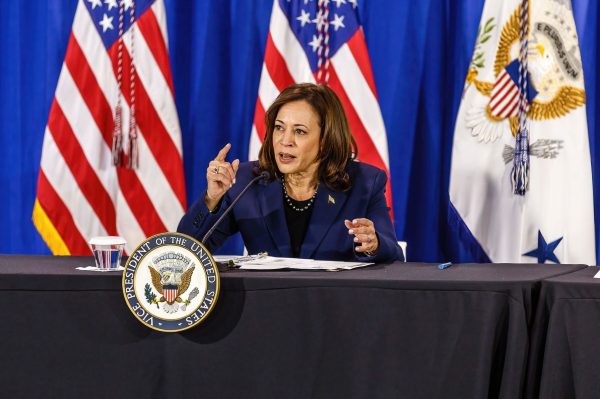 Kamala Harris speaks seated at a table in front of flags