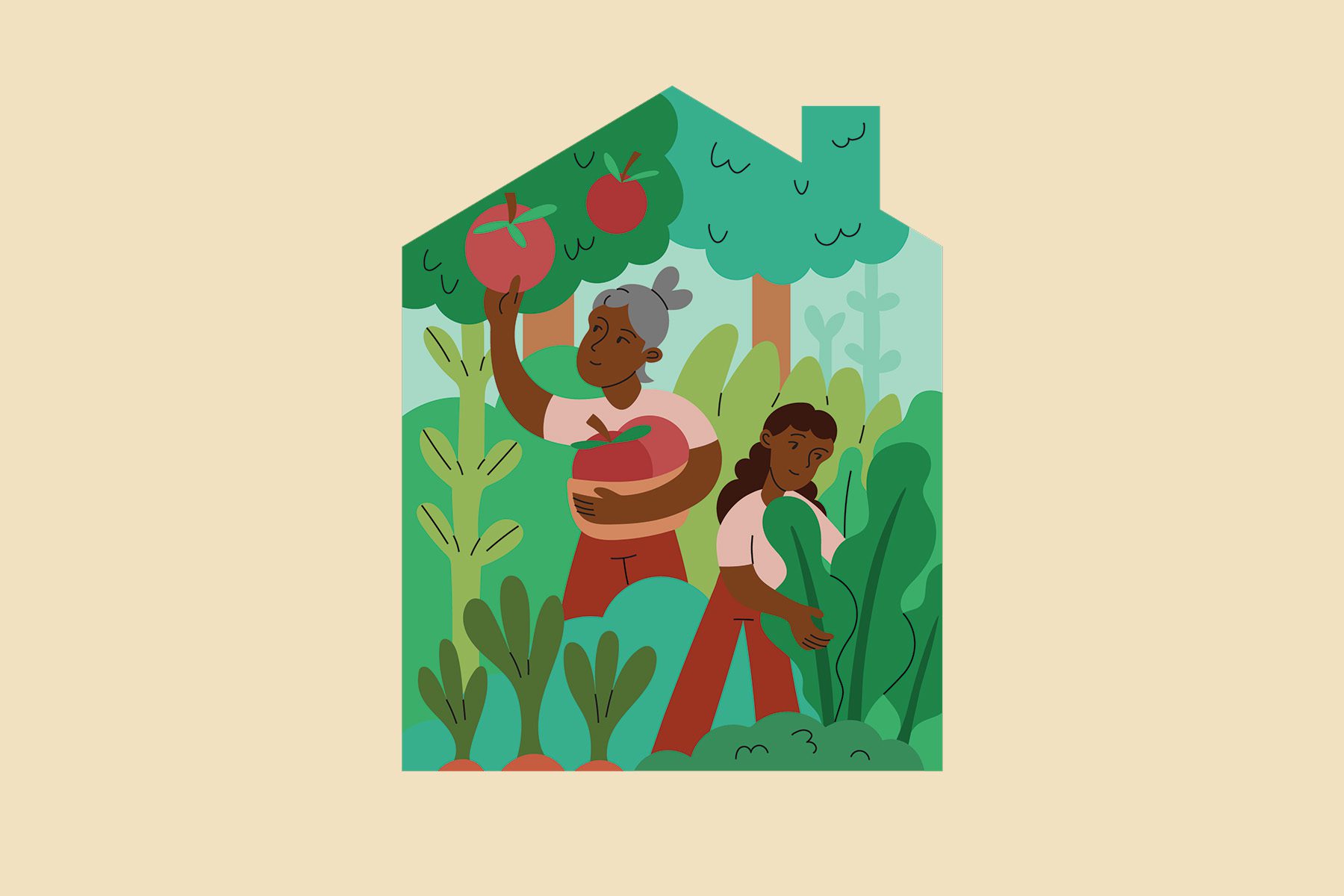 Illustration of an older and a younger woman farming fruits and vegetables together.