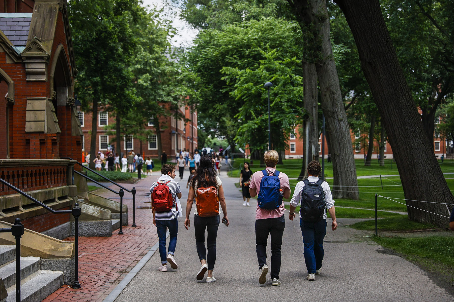 Students walks through Harvard's campus.