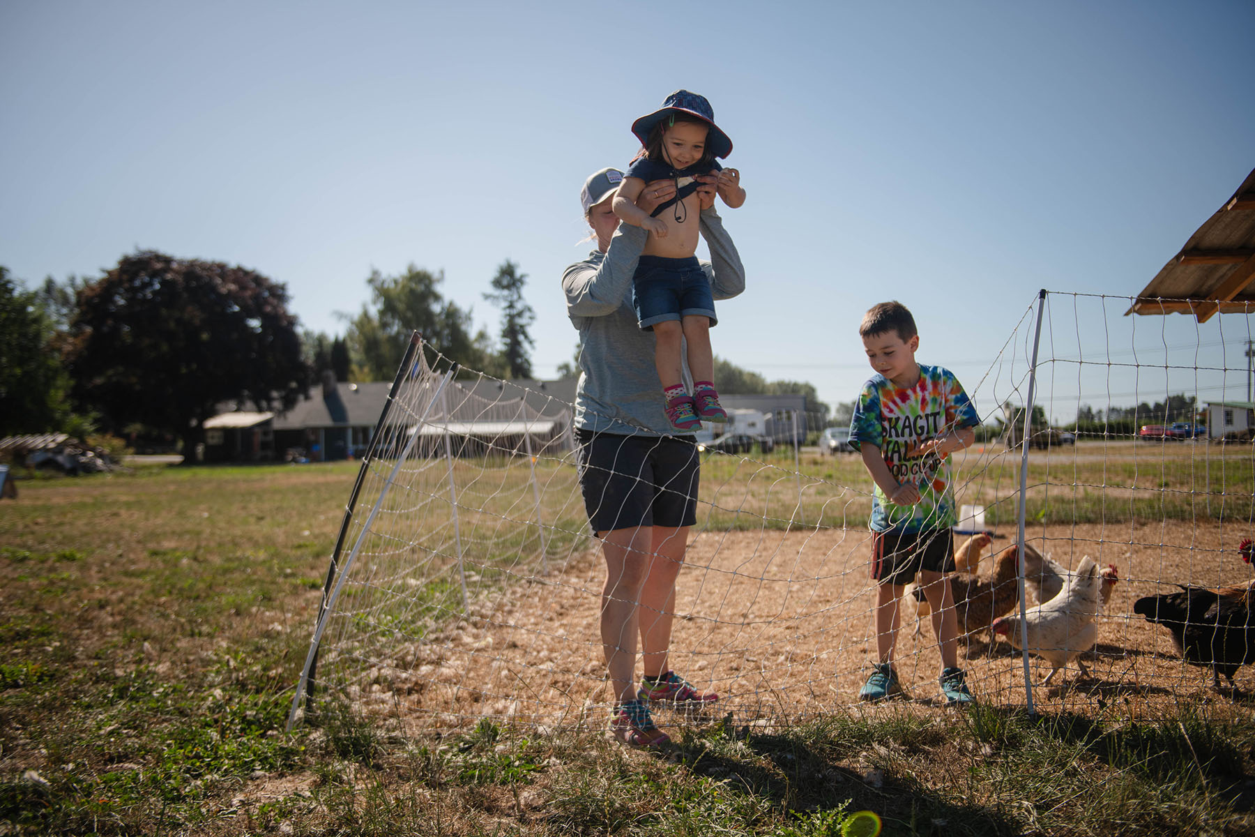 Amy Frye lift her youngest child Ayla out of a chicken coop as her son Leo helps at their farm in Bow, Washington.