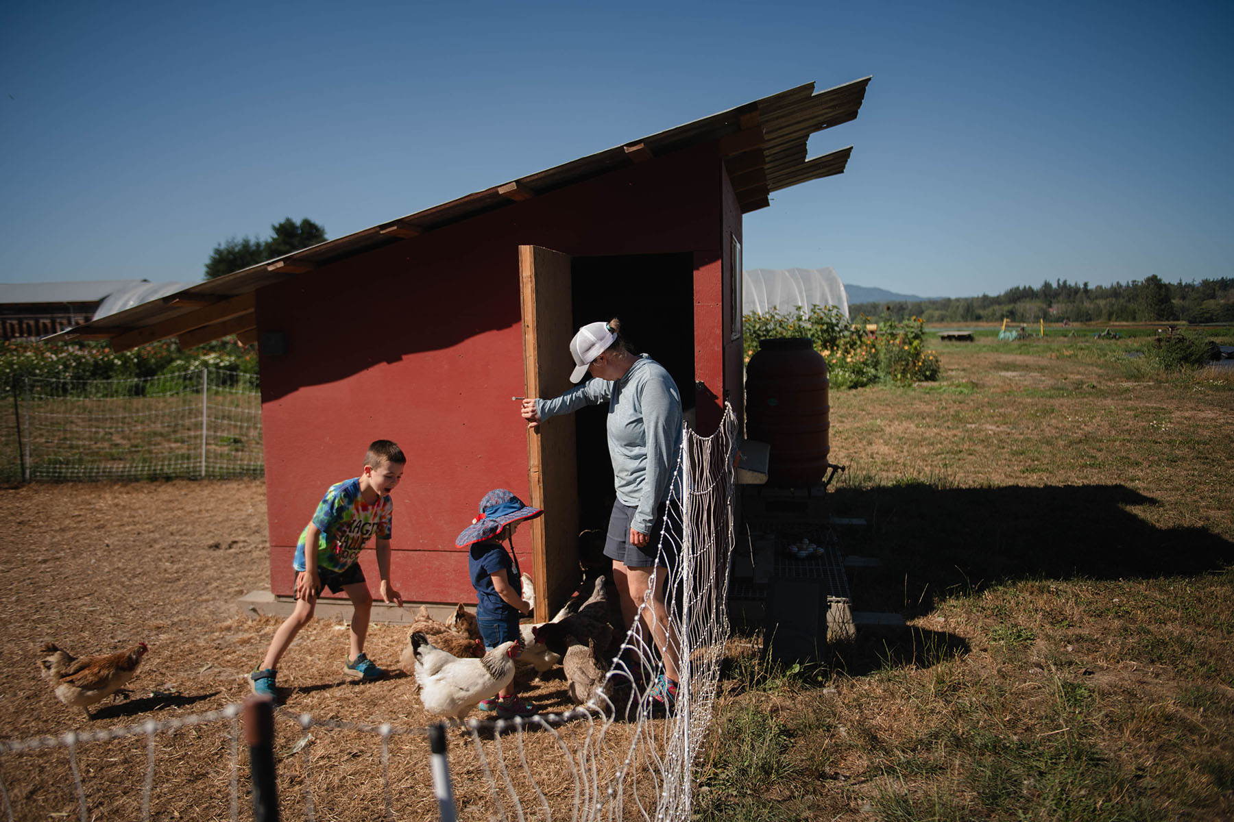 The Fryes take care of the chickens on their farm.