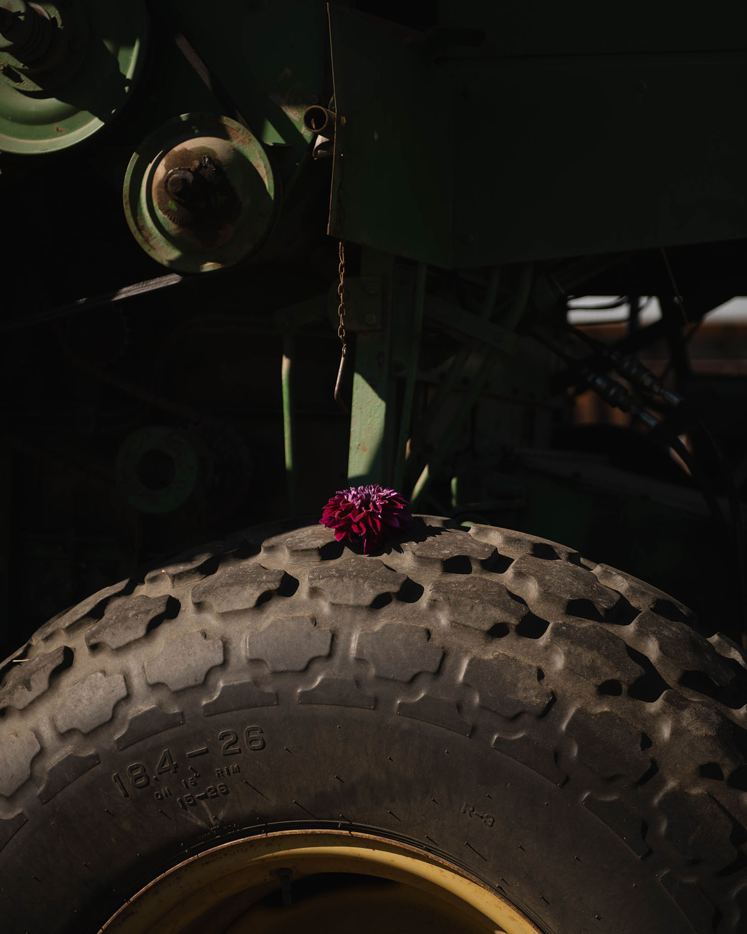 Detail of a flower on the wheel of a tractor.