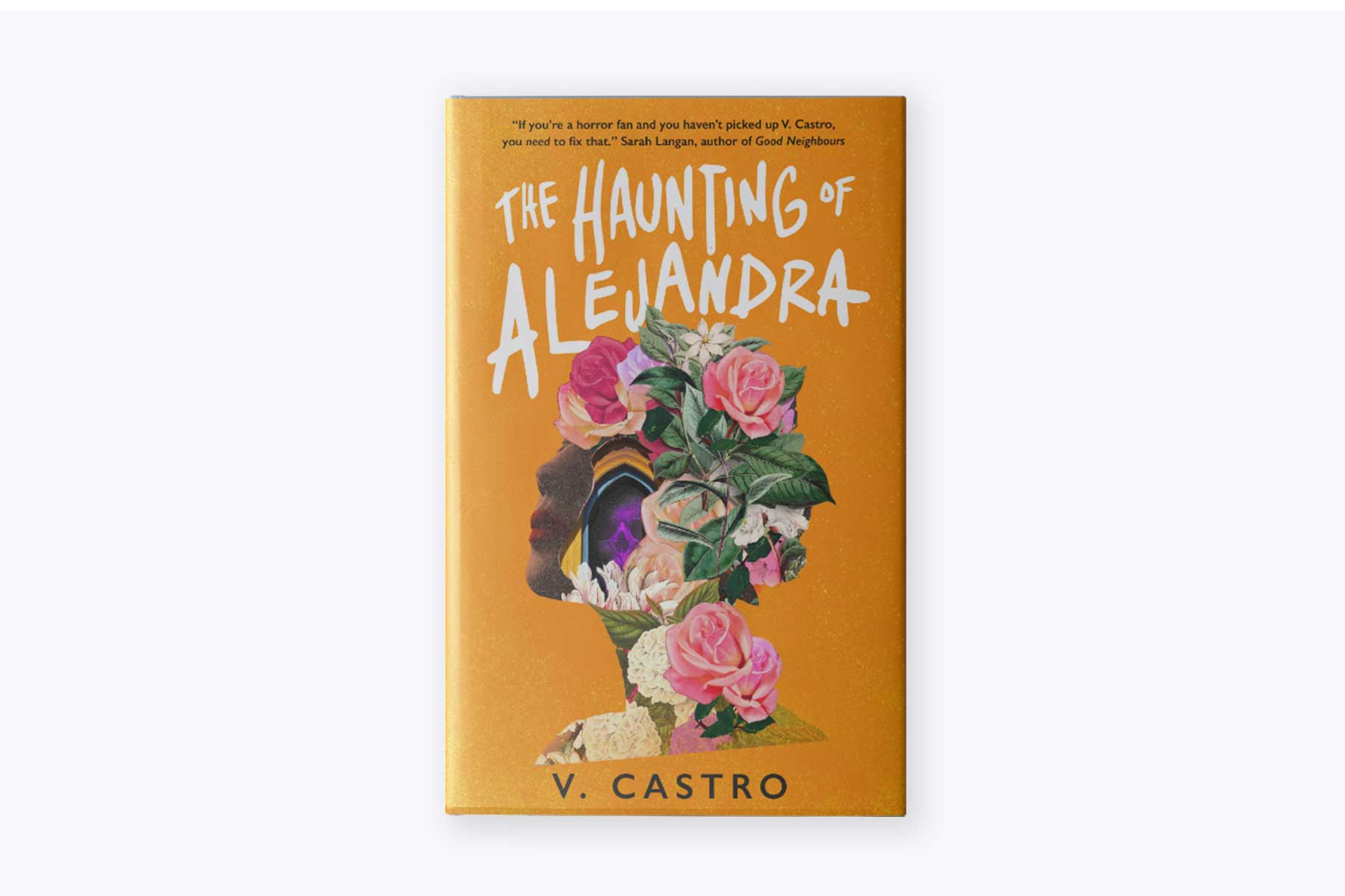 The cover of V. Castro's book, The Haunting of Alejandra.