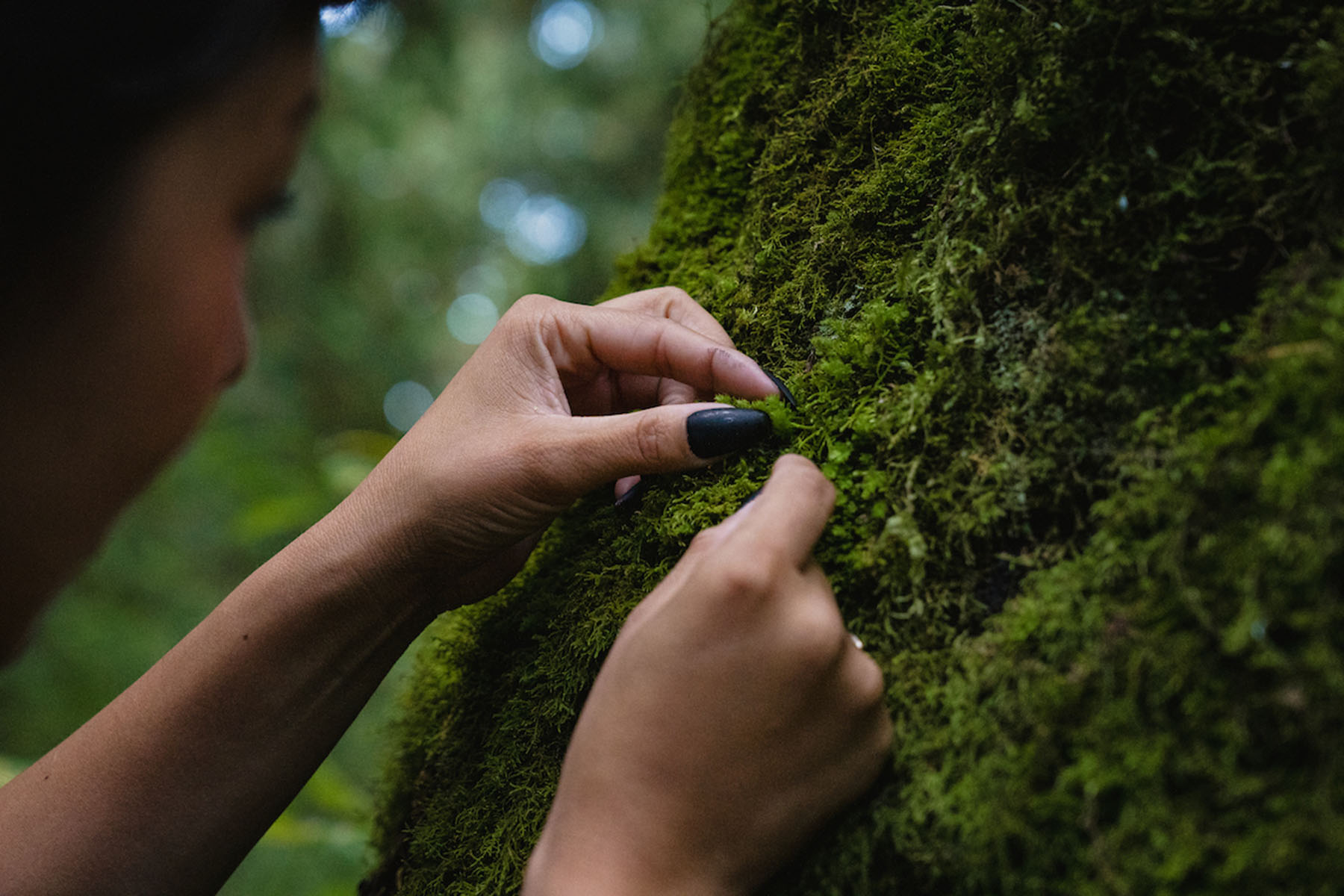 Michelle Barboza Ramirez examines moss on a tree.