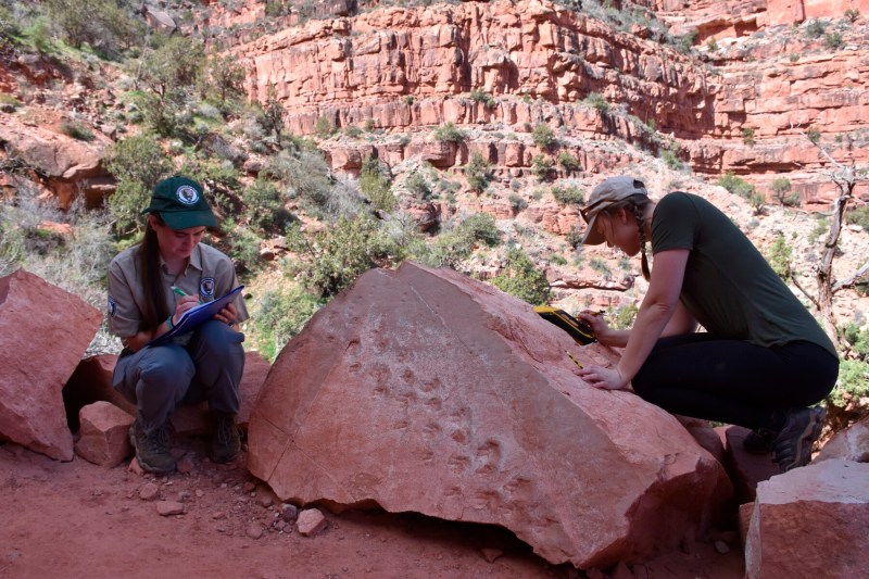 Park employees examine a rock at Grand Canyon National Park.
