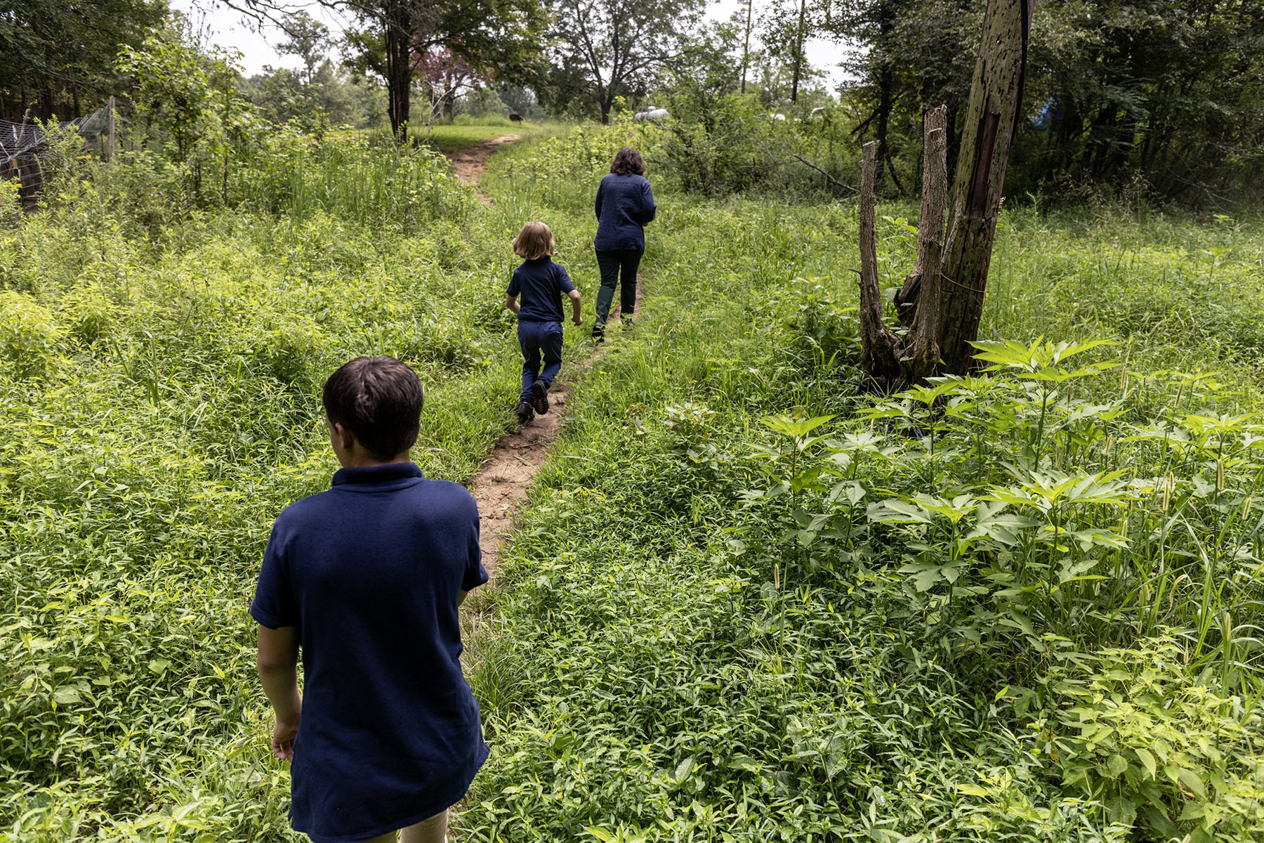 Marie Bauman and two of her children walk through a trail in the woods on their property.