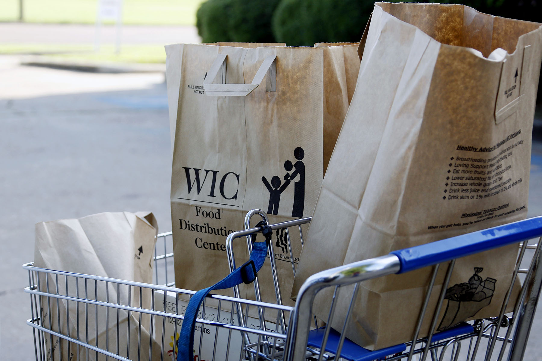 Grocery bags with food from the Special Supplemental Nutrition Program for Women, Infants and Children, WIC, sit in a shopping cart.