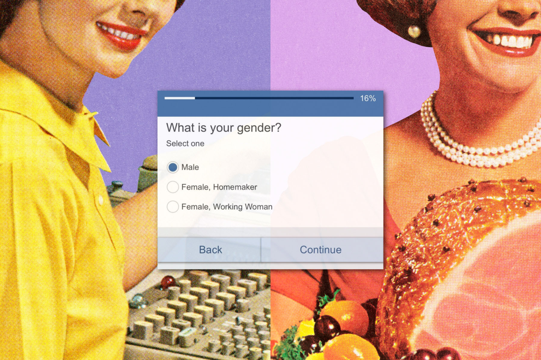 1960s style illustrations show a woman smiling with a ham in hand and a woman typing on an antiquated computer are overlayed with a screenshot from the survey that reads "What is your gender? Select one: Male, Female/ Homemaker, Female/Working Woman."