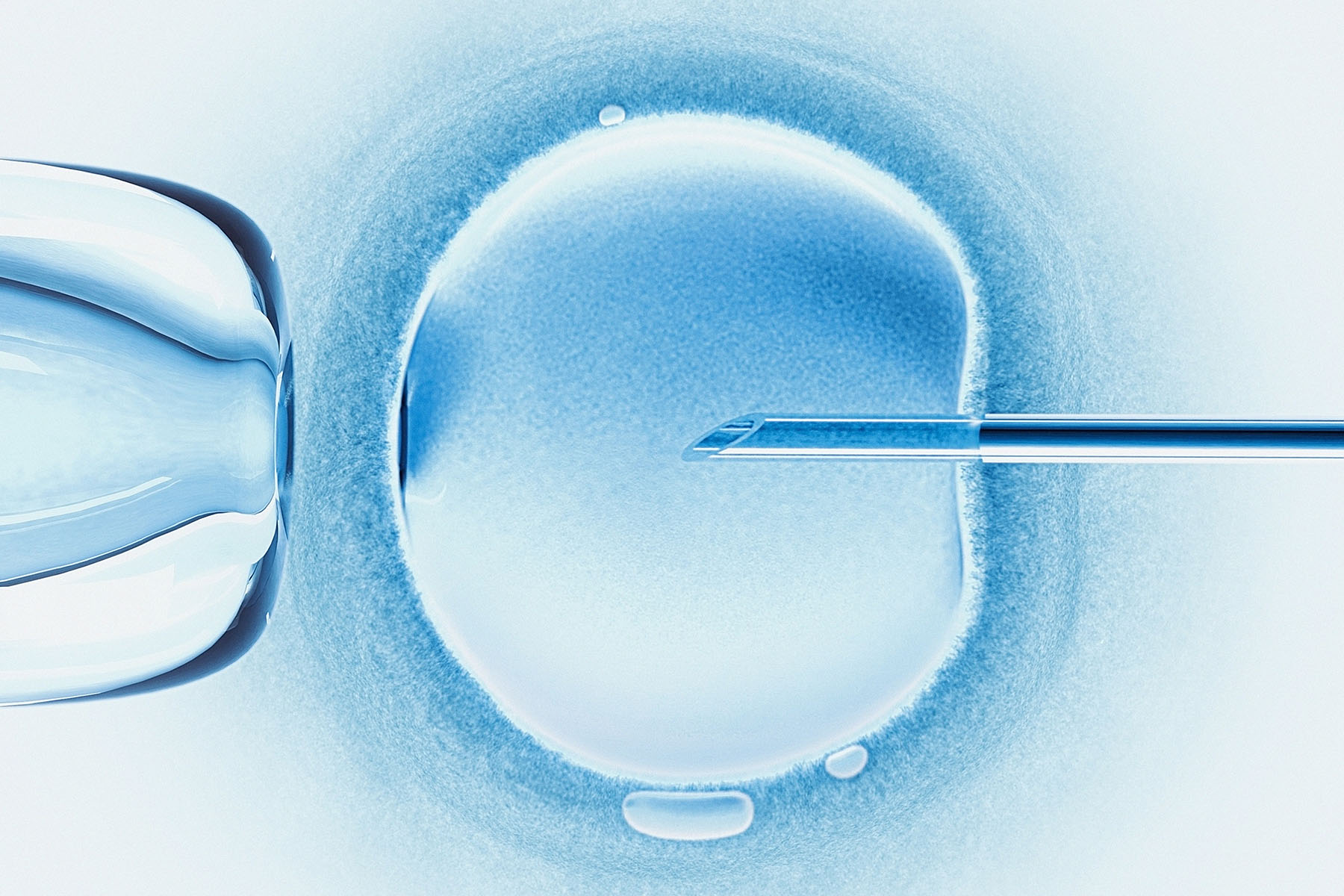 Computer image of an egg being inseminated through IVF.