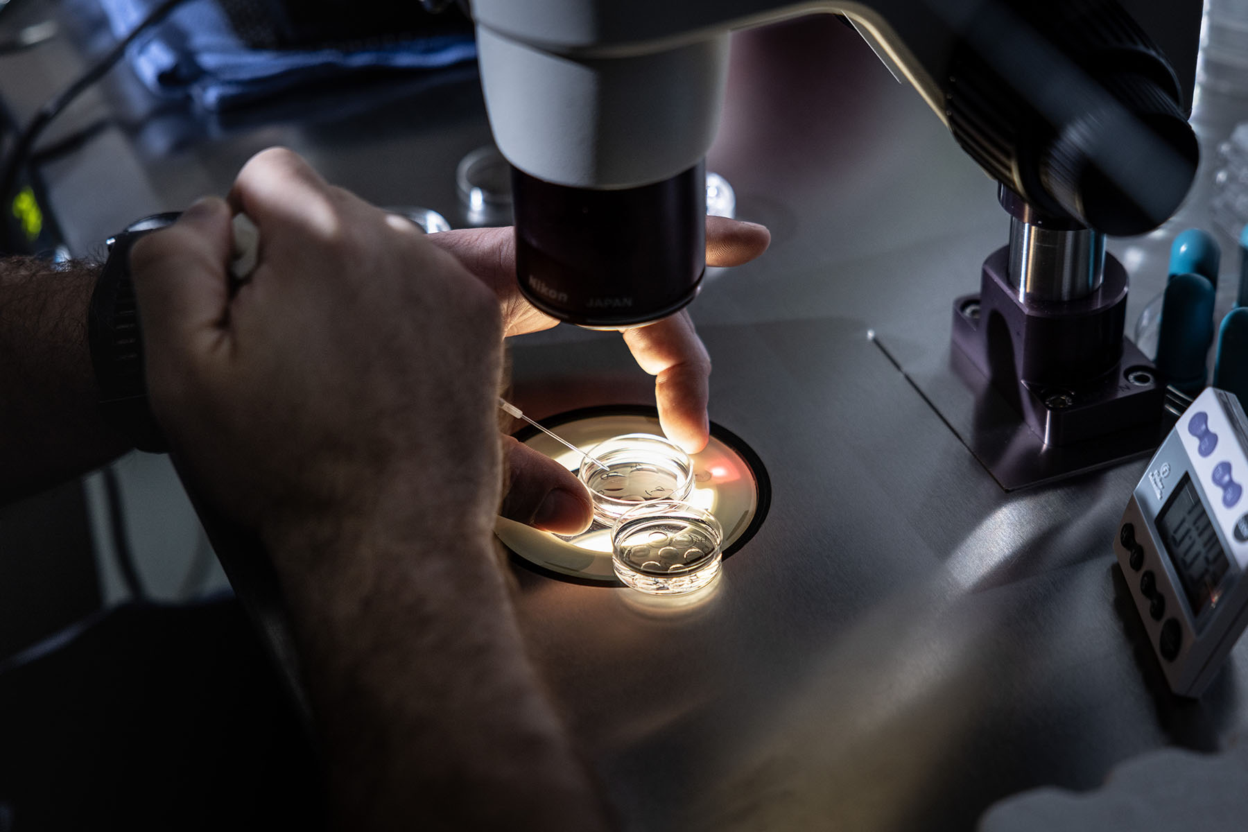 An embryologist adds media to petri dishes containing embryos, before freezing the embryos.