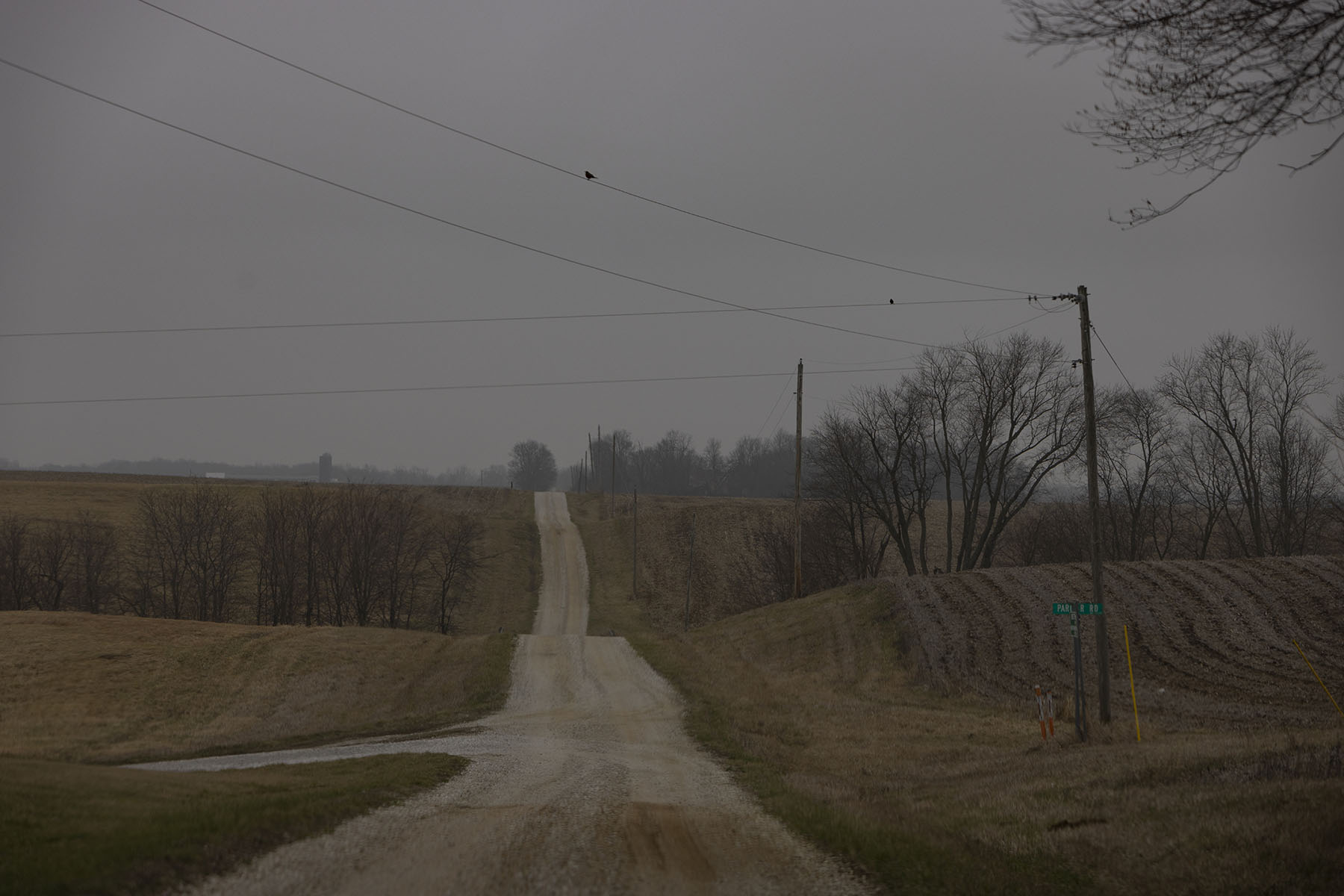 A country road is seen near Virginia, Illinois.