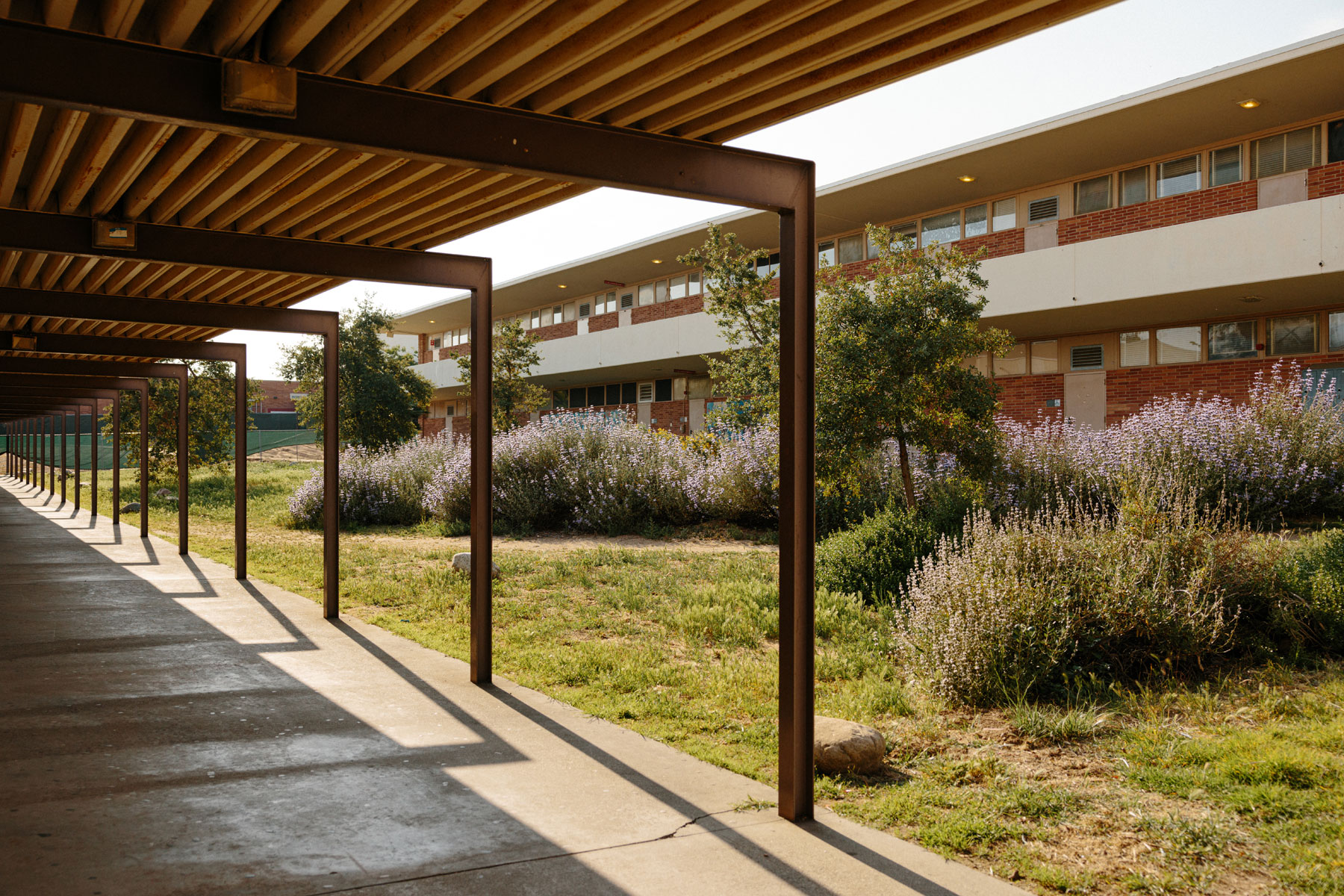 An image of an exterior courtyard and walkway at Pasadena High School.