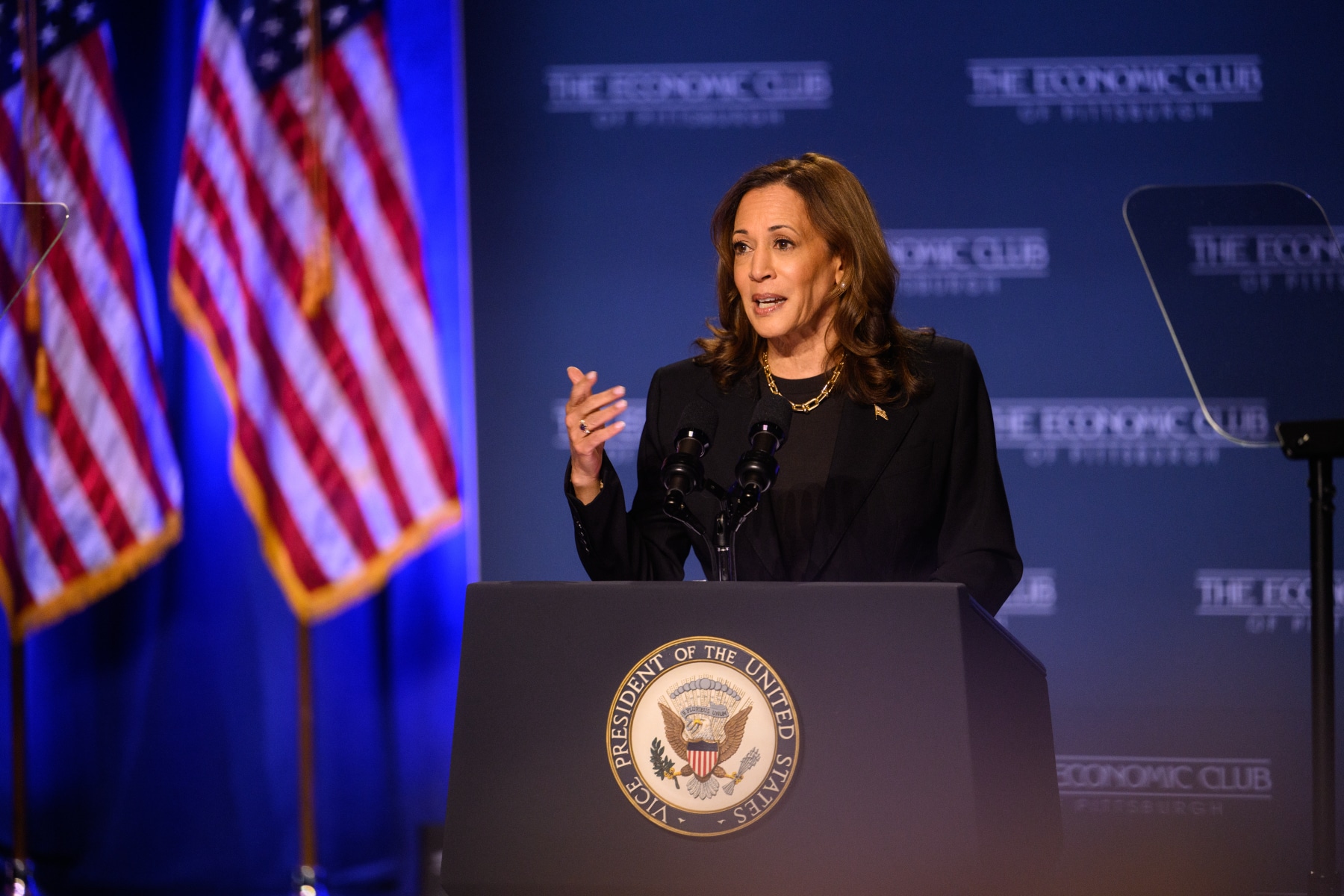 Vice President Kamala Harris speaks at a lectern with the seal of the vice president on it