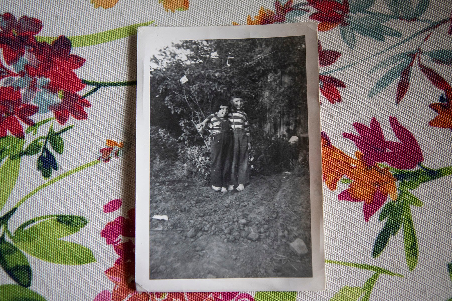 A black and white photograph of two children standing near some bushes, lying on a table.