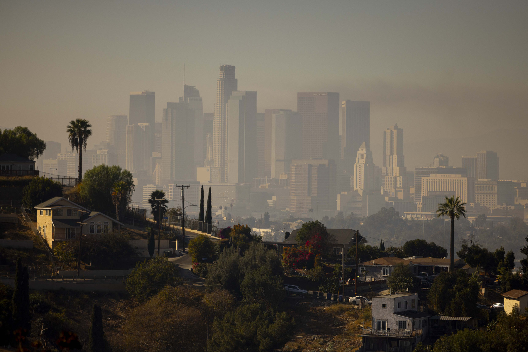 The Los Angeles skyline is shrouded in smog with houses on a hill in the foreground.