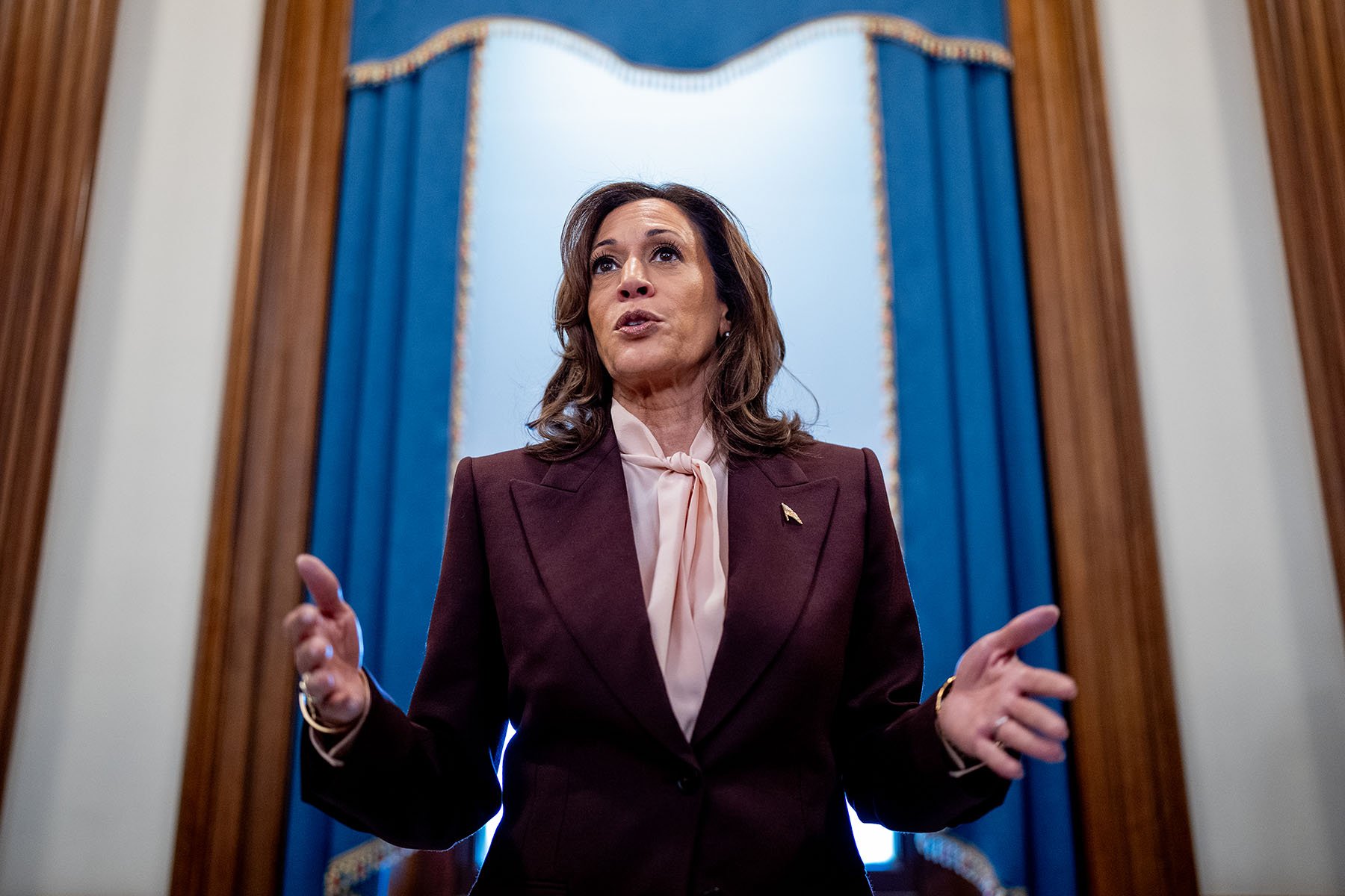 Vice President Kamala Harris speaks to reporters at the Capitol on January 6, 2025.