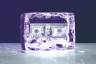 A purple block of ice with a 100 dollar bill frozen into it.