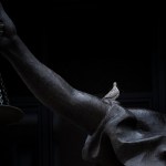 A bird rests on a statue of Justice at the US District Court.