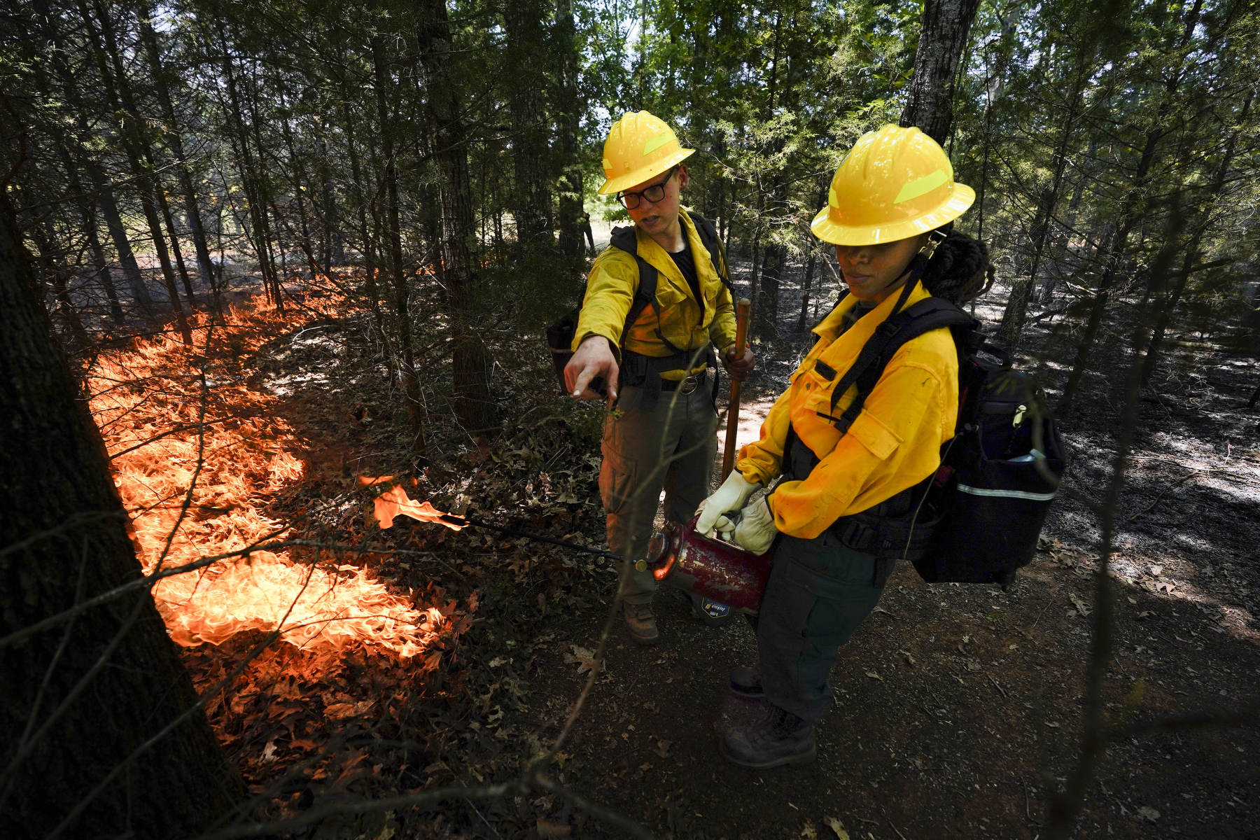 An instructor shows a student how to do a controlled burn in a forest.