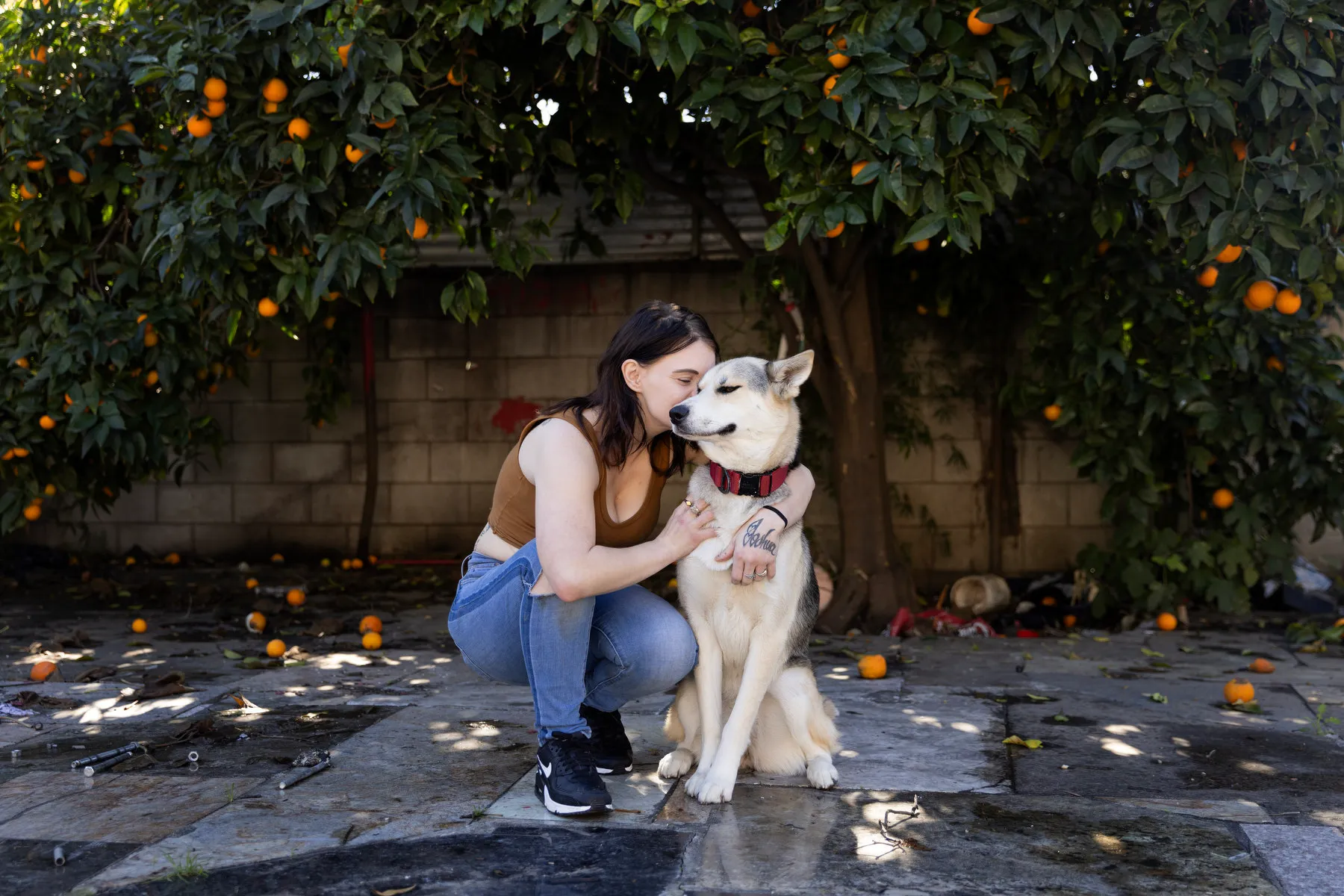 A woman holds her dog in a courtyard in front of an orange tree.