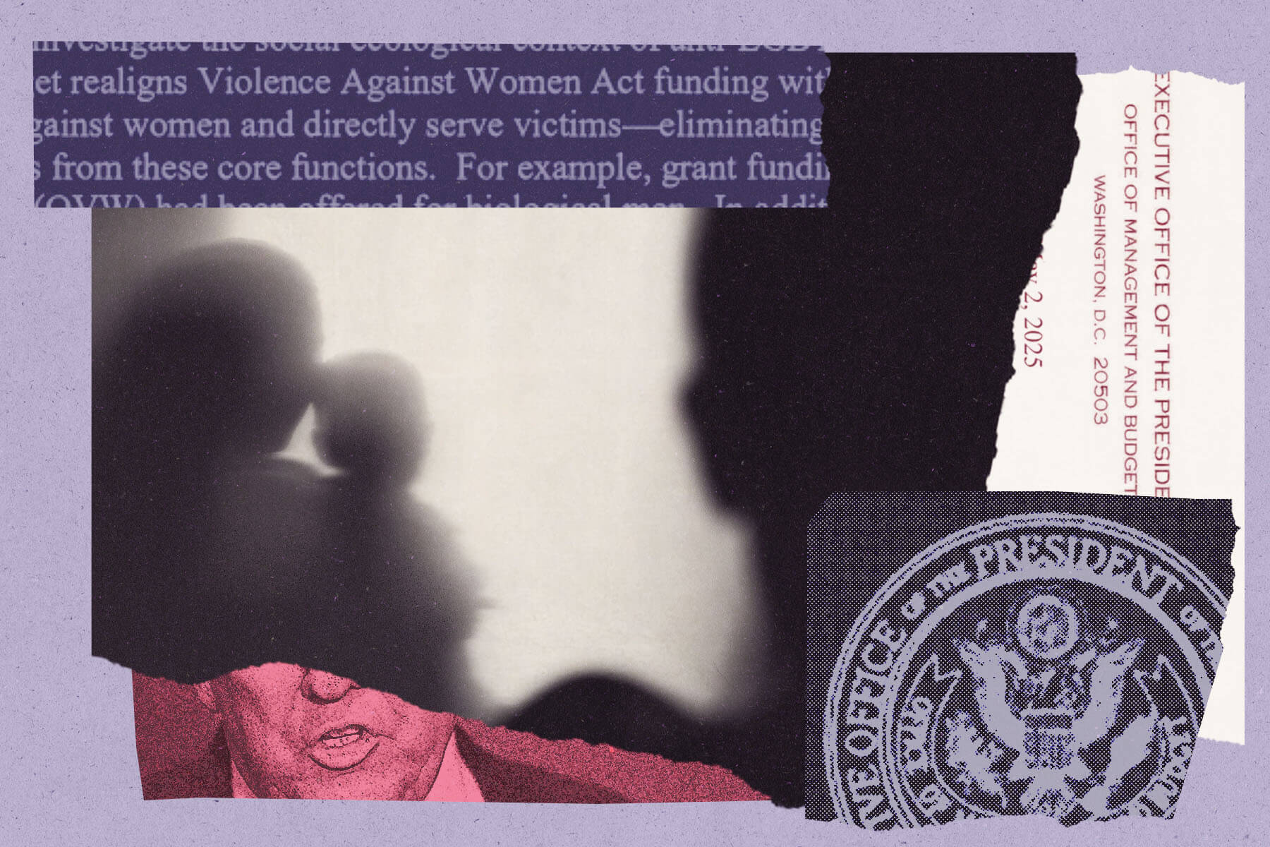 photo-collage style illustration featuring the presidential seal, shadowy figure, a photograph of President Donald Trump and text snippet that says "Violence Against Women Act"