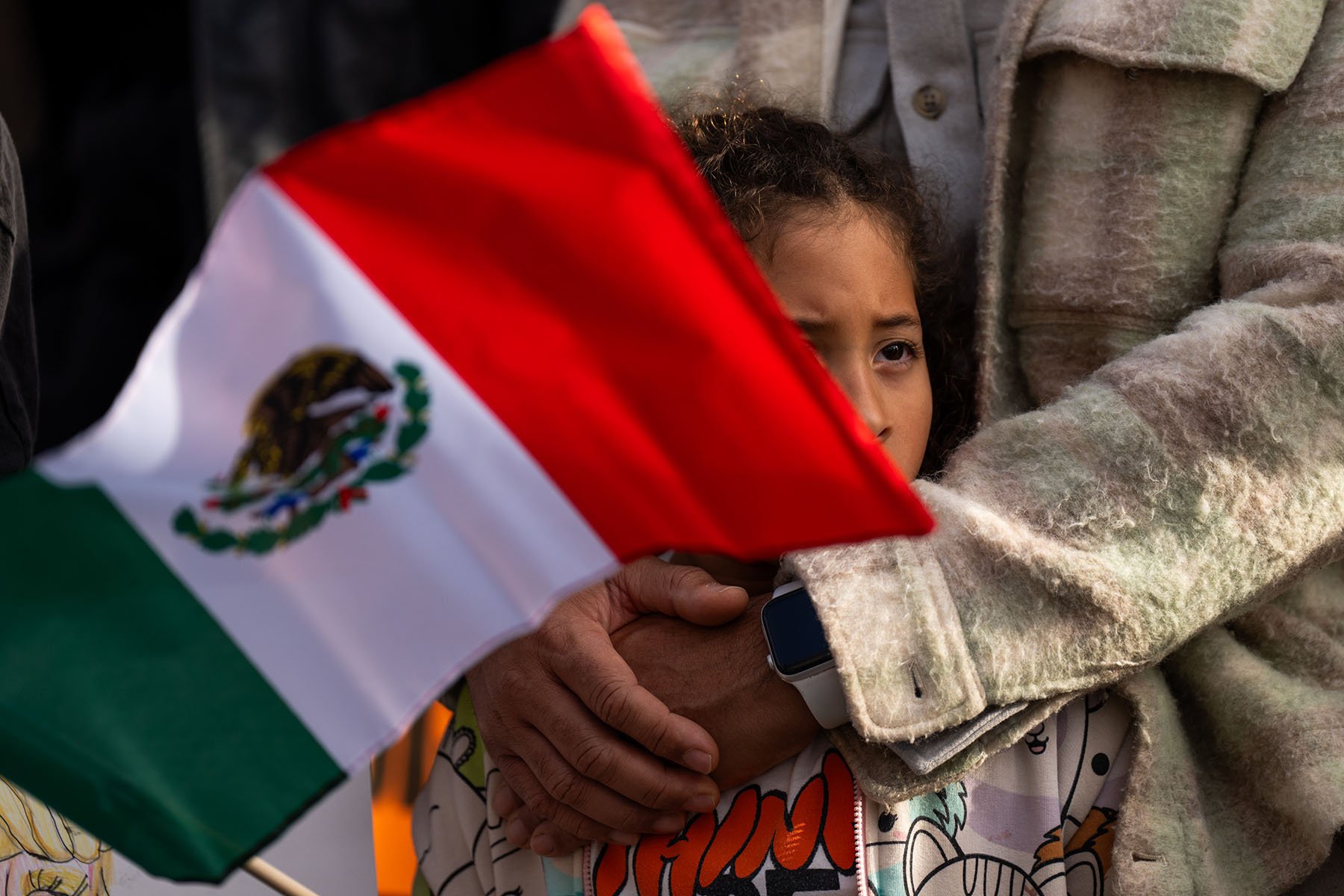 A young girl looks out from the arms of an adult while holding a small Mexican flag during an immigration rights protest.