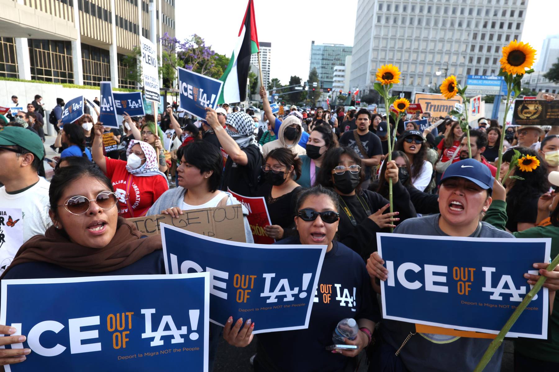 Protesters hold signs and sunflowers in Los Angeles amid ICE raids.