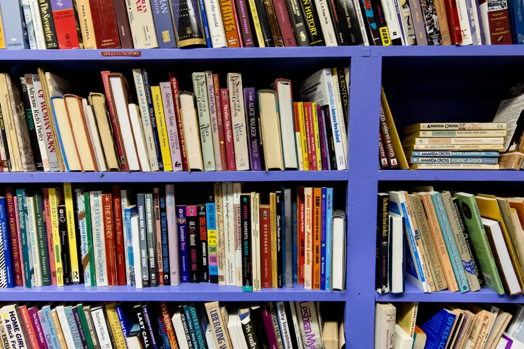 Bookshelves crammed with books