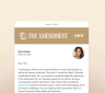 Preview of an edition of The Amendment newsletter.