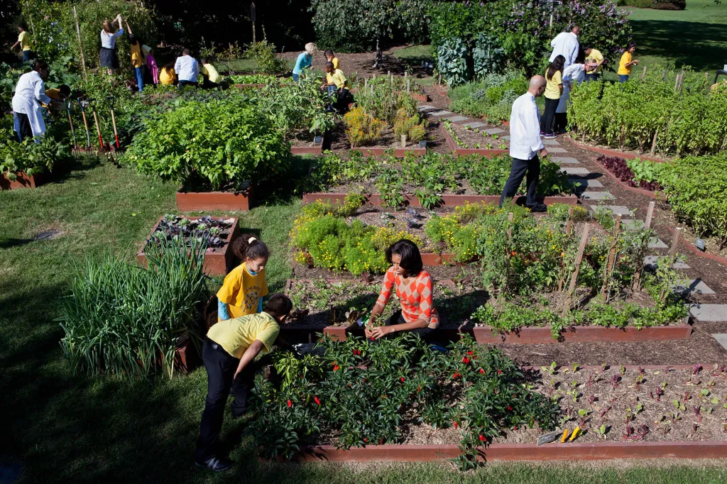 First Lady Michelle Obama and White House Chefs join children from Bancroft and Tubman Elementary Schools to harvest vegetables.