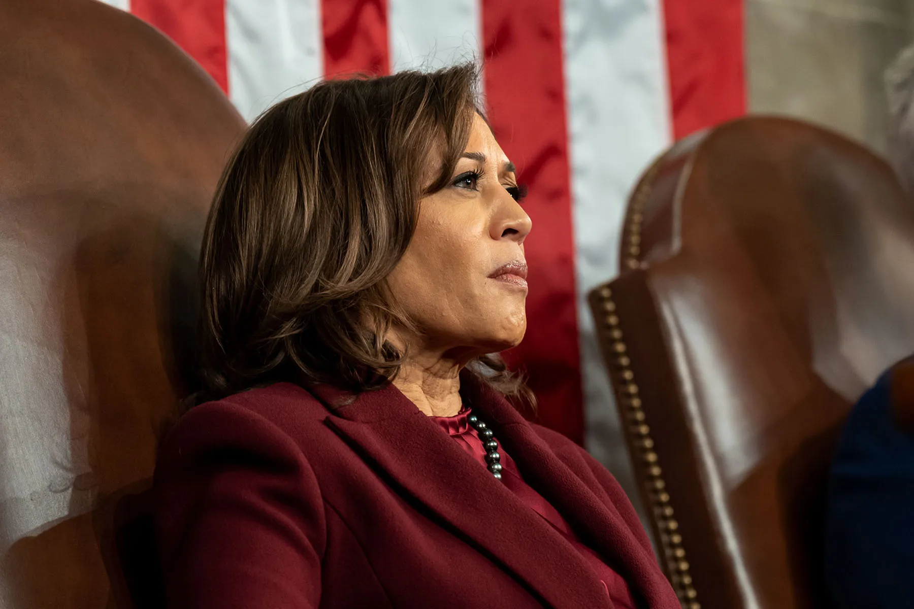 What's in Kamala Harris' book '107 Days'