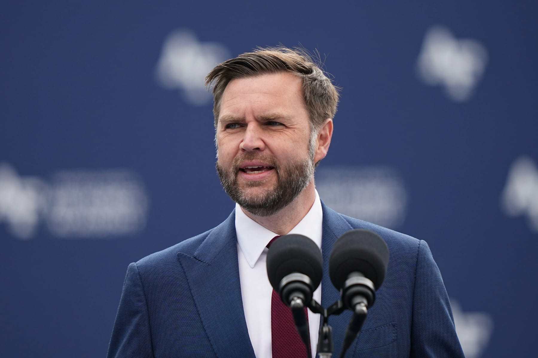 JD Vance book admits his ‘childless cat lady’ insult was ‘boneheaded’