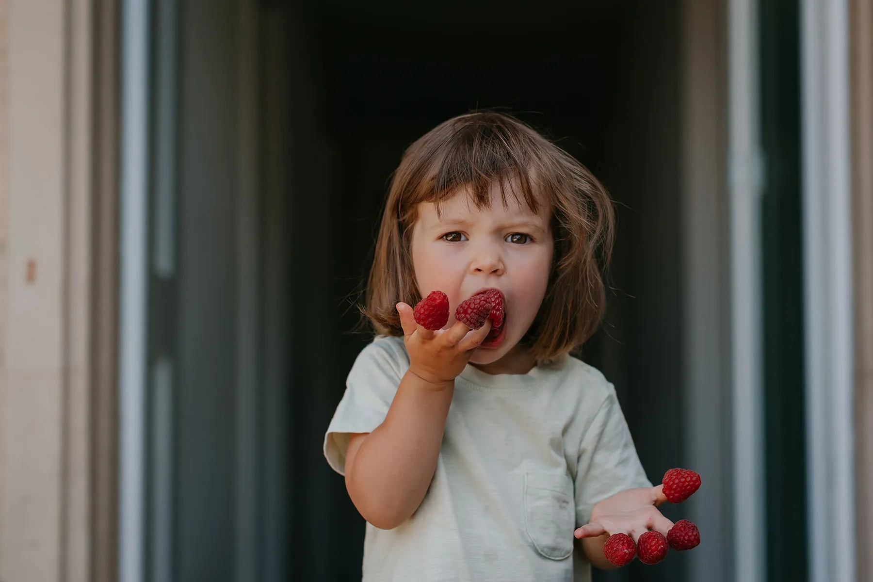 Has the cyclospora outbreak impacted berries? What parents of berry-aged children need to know.