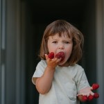A young child stands in a doorway, holding several raspberries and eating two from one hand.