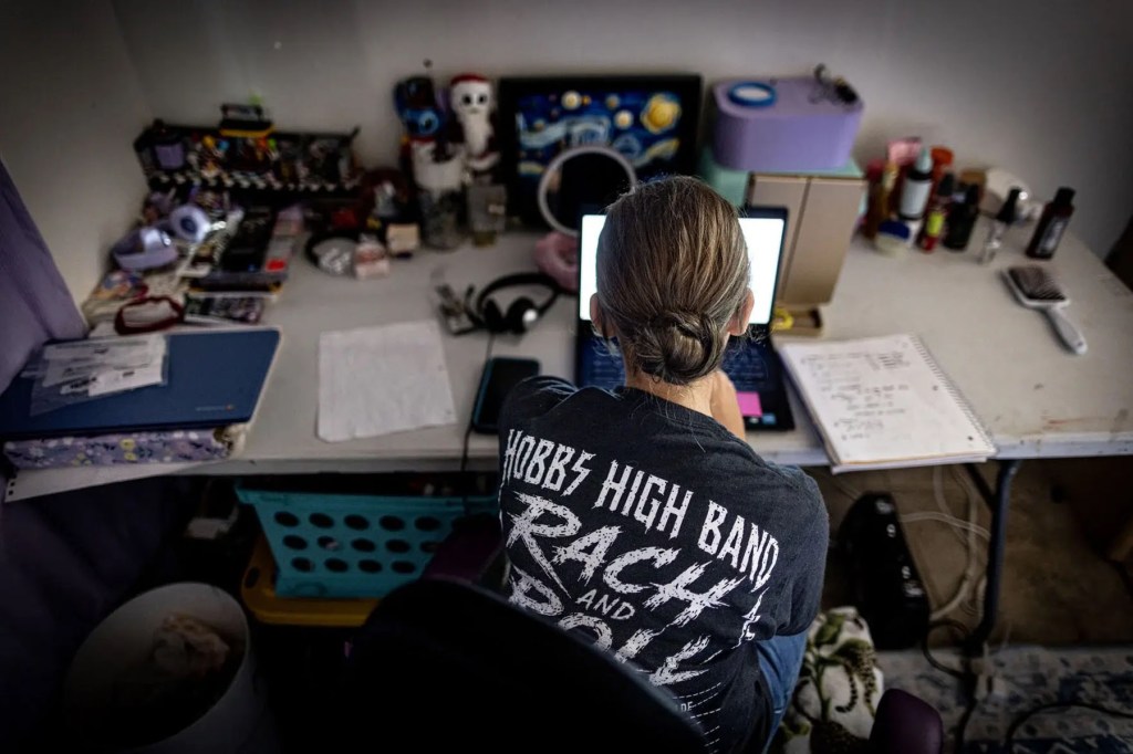 A young girl wearing a Hobbs High Band T-shirt sits at a desk working on a laptop.