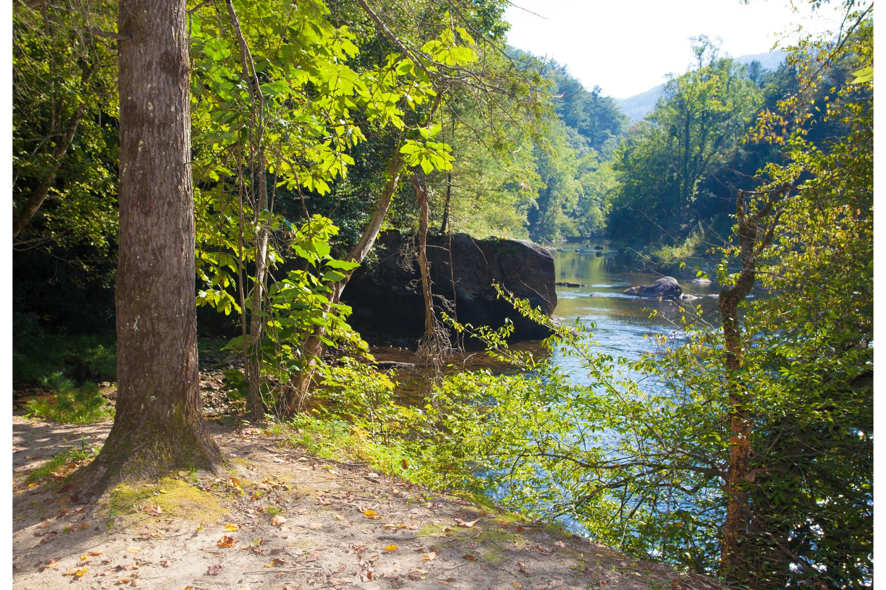 How a family swimming spot at a national forest became 'a trap' for an ICE raid